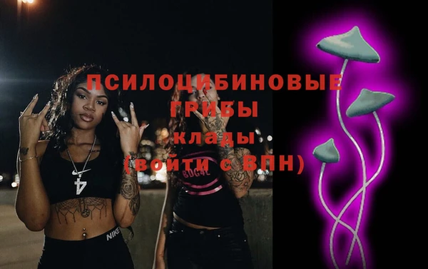 бутират Алексин