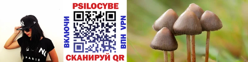 наркота  Динская  Псилоцибиновые грибы прущие грибы 